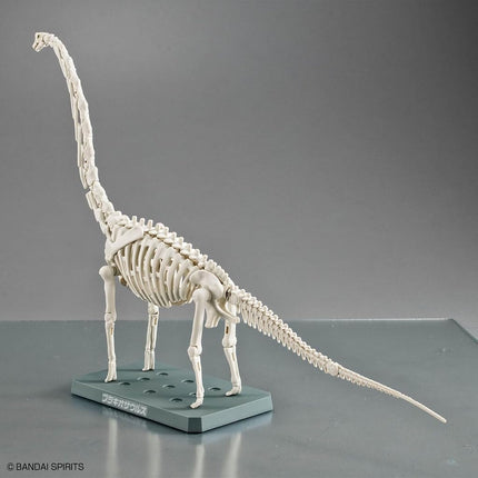 Bandai Hobby Plannosaurus Brachiosaurus Model Kit