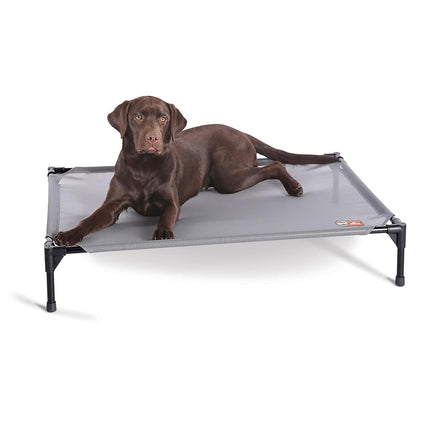 K&H Pet Products Elevated Outdoor Dog Cot Bed, Rai