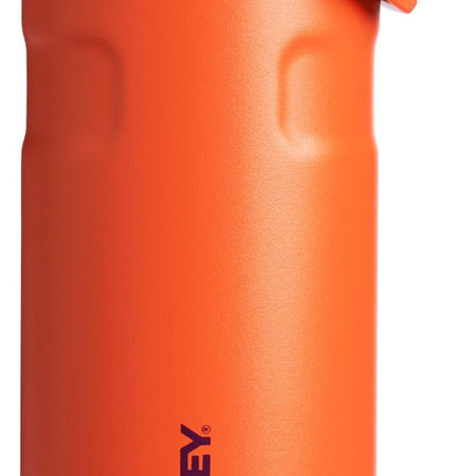 Stanley IceFlow Flip Straw 2.0 Water Bottle 16 OZ 