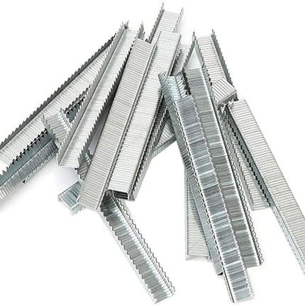 Arrow A506IP T50 Staples, Steel, 3/8 Inch (10 mm)