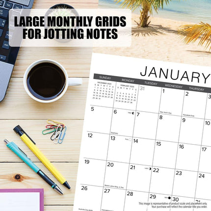 Willow Creek Press Great Dane Puppies Monthly 2025 Wall Calendar (12" x 12")