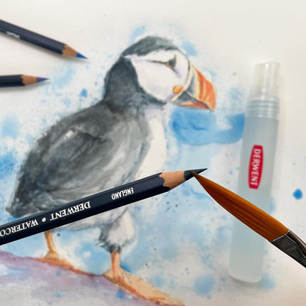 Derwent Watercolour Pencils, Painting & Drawing, Set Of 48 In Wooden Gift Box, Ideal For Blending & Layering, Professional Quality, 0700758