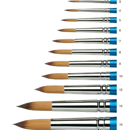 Winsor & Newton Brush, Wood, Transparent, No 10 -. 6.3 mm, round - brush, short handle
