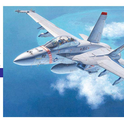 Hasegawa 1/72 F/A-18F Super Hornet