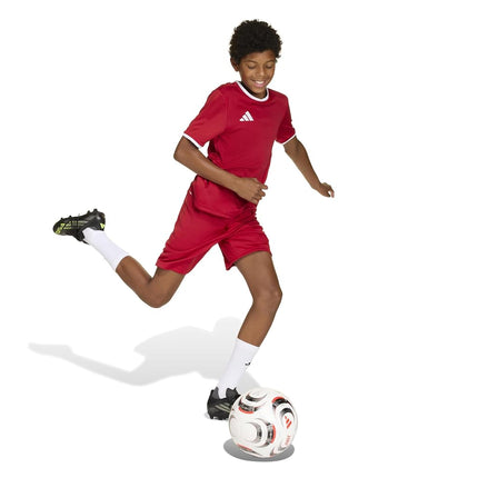 adidas Boys Entrada 26 Jersey