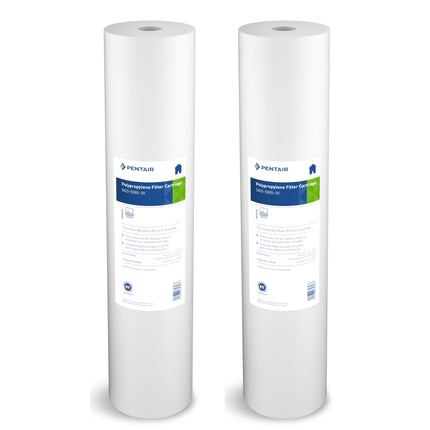 Pentair Pentek DGD-5005-20 Big Blue Water Filter, 