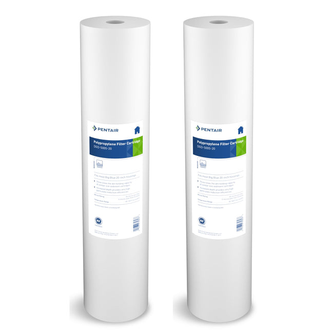 Pentair Pentek DGD-5005-20 Big Blue Water Filter, 