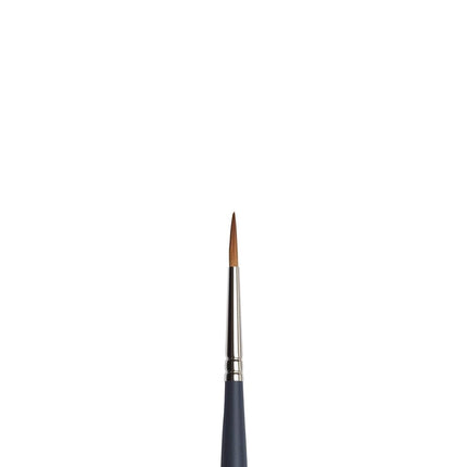 Winsor & Newton 5011104 Professional Watercolour Brush, Painting Brush for Watercolours with Synthetic Fibres, Ergonomic Handle, Durable & Dimensionally Stable, Short Handle, Round Brush No. 4