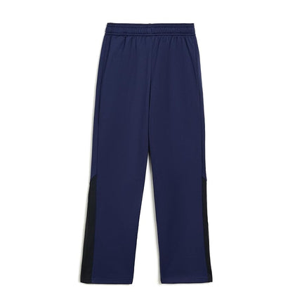 Under Armour Boys' Brawler 3.0 Tapered Pants