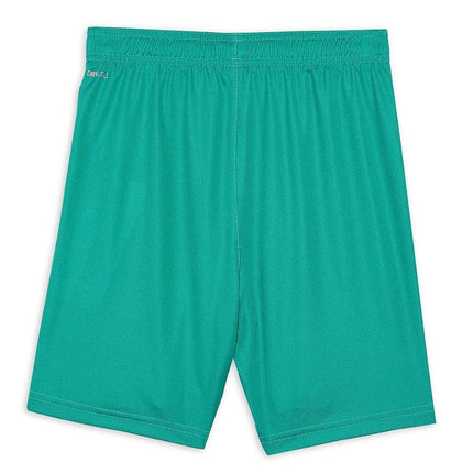 Short PUMA TeamLIGA pour enfant, vert poivre et blanc, taille L