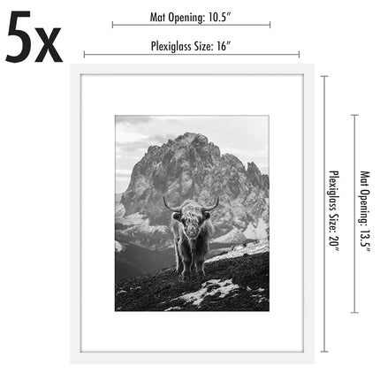 Americanflat 16x20 Picture Frame With Polished Plexiglass - Set of 5 - Use as 11x14 With Mat or 16x20 Without Mat - Galleria Collection - Gallery Wall Set for Wall Display - White