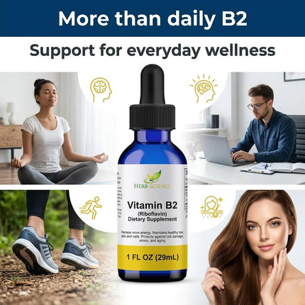 Herb-Science Liquid Vitamin B2 Riboflavin Drops, Alcohol-Free Liquid Extract Support Digestion, Maintain Proper Energy Levels, Boost Collagen Production for Healthy Hair, Nails, Skin, (1 oz)