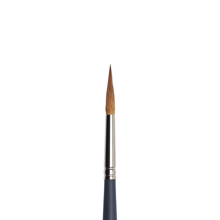 Winsor & Newton 5011208 Professional Watercolour Brush, Painting Brush for Watercolour Paints with Synthetic Fibres, Ergonomic Handle, Durable and Dimensionally Stable, Short Handle, Round Brush