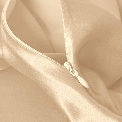 THXSILK 100% Mulberry Silk Pillowcase for Hair and Skin Health, 22 Momme Soft and Smooth Pillowcases with Hidden Zipper, Both Sides Premium Grade 6A Silk, 1pc (Standard 20"x26", Beige)