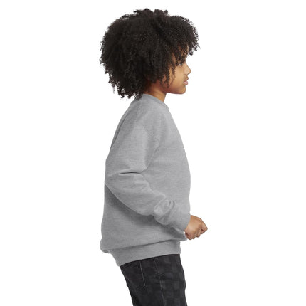 Hanes Boys Eco Smart Crew, Light Steel, X-Large