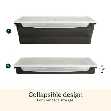 Cuisinart CMT-100 XL Collapsible Marinade Container, Black