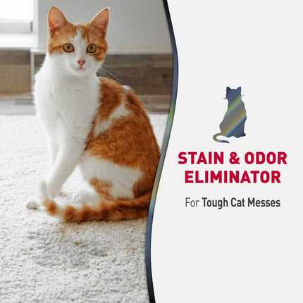 Nature's Miracle Advanced Stain & Odour Remover Cat 3.78 LTR