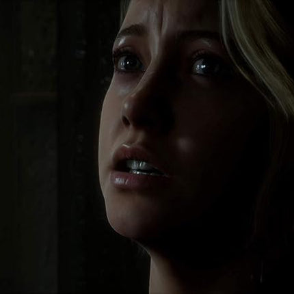 The Dark Pictures Anthology - Man of Medan (PS4)