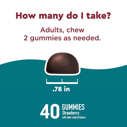 Nature Made Wellblends Stress Relief Gummies, L-theanine to help reduce stress, with GABA, Same Day Stress Support, 40 Strawberry Flavor Gummies