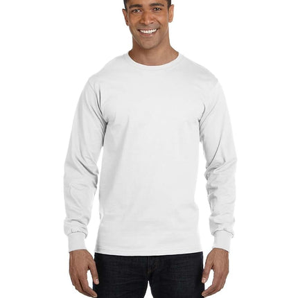 Hanes Men's ComfortSoft Long-Sleeve T-Shirt (Pack of 2), White,3X Large