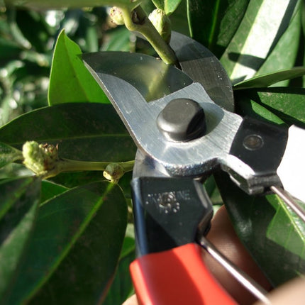Okatsune Pruning Shears 7.1 inches (180 mm) NO.101