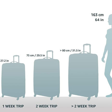 Samsonite Winfield 2 Hardside Luggage, Purple, Checked-Large 28-Inch, Winfield 2 Hardside Expandable Luggage with Spinner Wheels