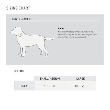 Carhartt Nylon Duck Dog Collar, Fully Adjustable Durable 2-Ply Cordura Nylon Canvas Collars for Dogs, Brite Lime, Medium
