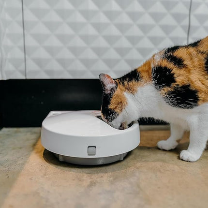 Cat Mate C500 Automatic 5-Bowl Pet Feeder with Digital Timer for Wet and Dry Pet Food, for Cats and Small Dogs, 5 Meals up to 330g Each, with Twin Ice Packs for Food Freshness – White