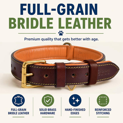 Genuine Leather Dog Collar | Brown | Full Grain, Heavy Duty, Strong, Comfortable, Padded | Best for Pups, Small, Medium, Large, XL Dog Breeds (XL (Neck Size 22.5"-25.5"), Brown)