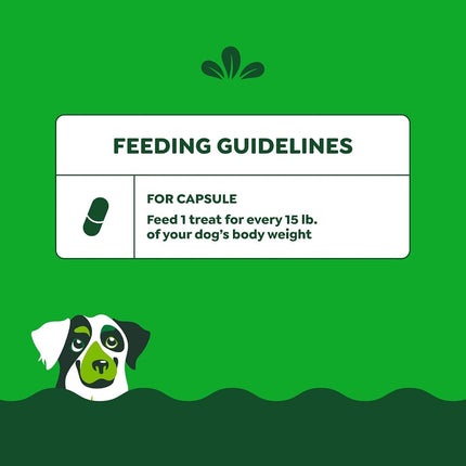 GREENIES PILL POCKETS Capsule Size Natural Dog Treats with Chicken Flavor, (6) 7.9 oz. Packs (180 Treats)
