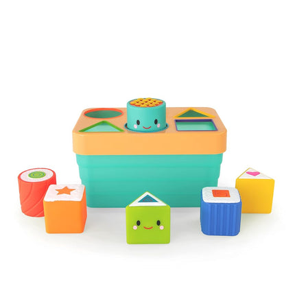 Clasificador de sushi Sassy Baby - 6m+ Múltiple