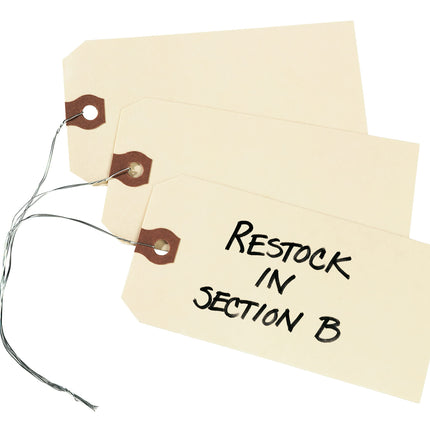 Avery Double Wired Shipping Tags, 13pt. Stock, 4 3