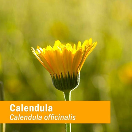 Herb Pharm Certified Organic Calendula Oil - 1 Ounce