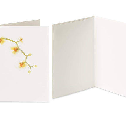 Papyrus Elegant Blank Cards with Envelopes, Rose and Orchid (2-Count)