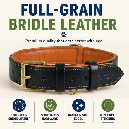 DowgClub Leather Dog Collar | Leather Collar for Small Dogs, .75 Inch Wide Black Dog Collar | Genuine, Full Grain, Heavy Duty, Comfortable, Inner Soft Padding (S (Neck Size 11.5"-14.5"), Black)