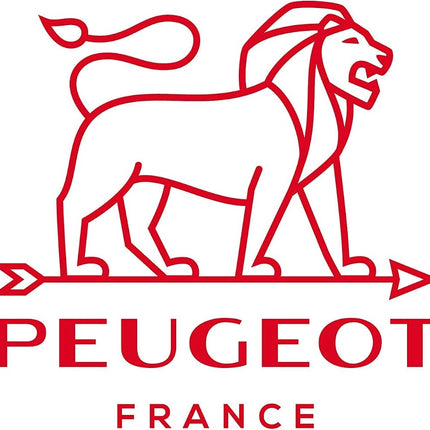 PEUGEOT - Moulin à sel Paris u'Select 22 cm - 6 réglages de mouture prédéfinis - Fabriqué en bois certifié PEFC - Fabriqué en France - Couleur graphite
