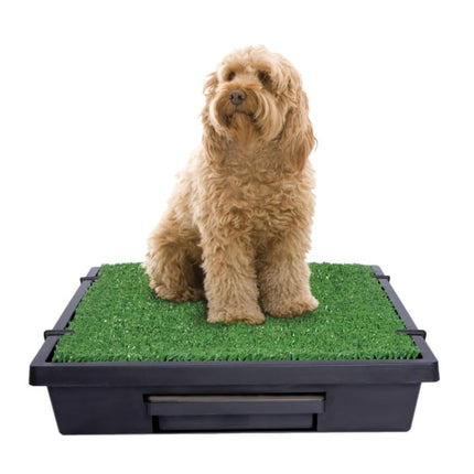 PetSafe Pet Loo - Medium Portable Toilet for Dogs 