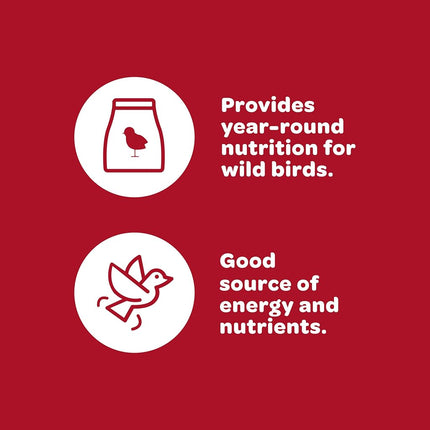 Kaytee Products Wild Bird 100033730 Kaytee Wild Finch Food 5 Pound