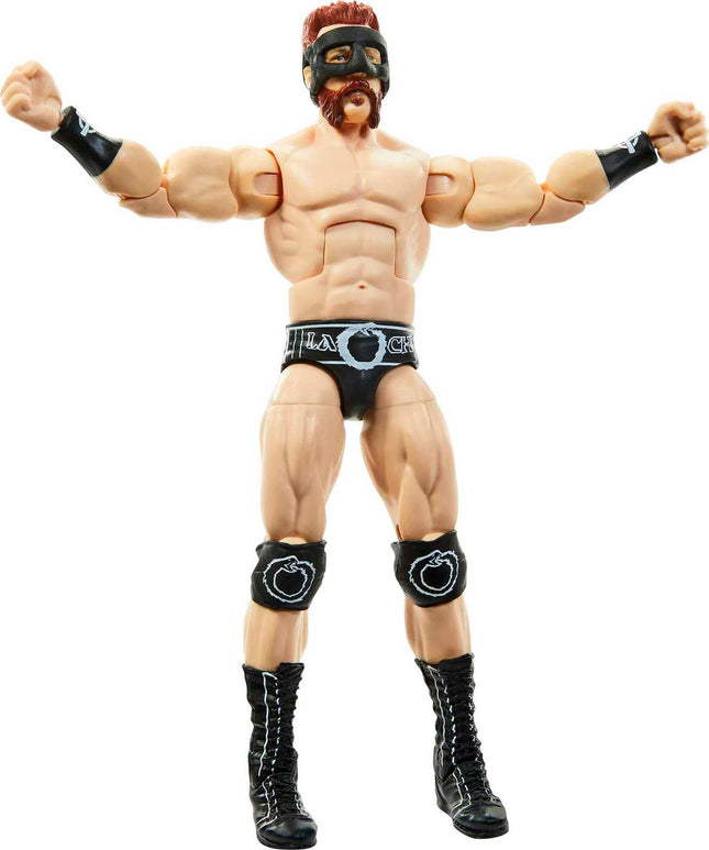 WWE Action Figures, WWE Sheamus Figure with Accessories, Collectible Gifts