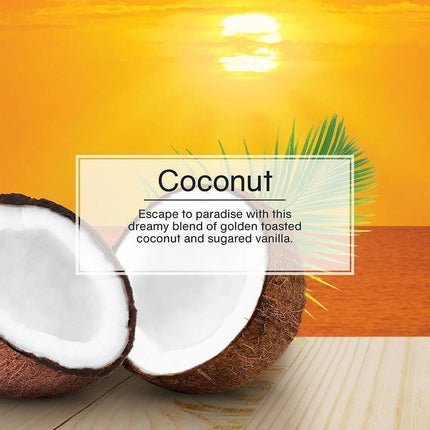 12 Pack Car Freshner 10317 Little Trees Air Freshener Coconut Scent - Single Tree per Package