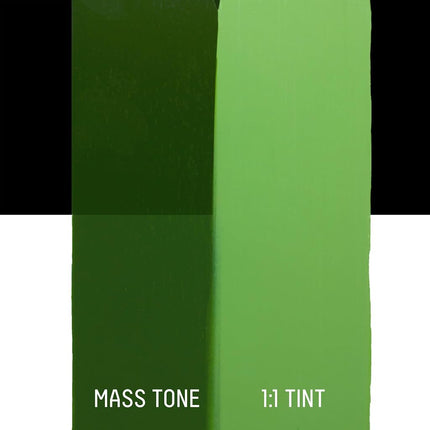 Liquitex 1047224 Professional Heavy Body Acrylic Paint 138 ml tube, Hooker’s Green Hue Permanent