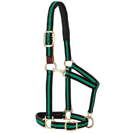 Weaver Leather 35-6065-GR Padded Breakaway Adjustable Chin & Throat Snap Halter, 1" Average Horse or Yearling Draft, Green Striped