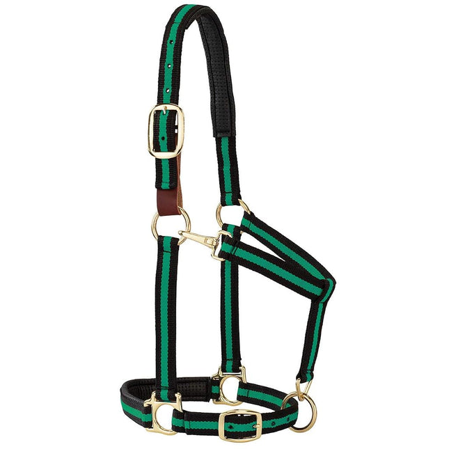 Weaver Leather 35-6065-GR Padded Breakaway Adjustable Chin & Throat Snap Halter, 1" Average Horse or Yearling Draft, Green Striped