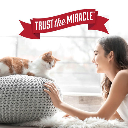 Nature's Miracle Advanced Stain & Odour Remover Cat 3.78 LTR