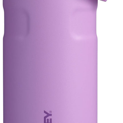 Stanley IceFlow Flip Straw 2.0 Water Bottle 16 oz 