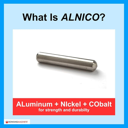 Dowling Magnets DO-731013 Science Magnets Alnico Cow Magnet