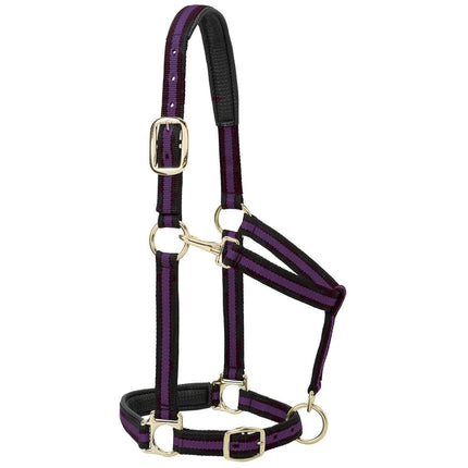 Weaver Leather 1" Small Horse/Weanling Draft Padded Chin & Throat Snap Halter, Blue, Adjustable