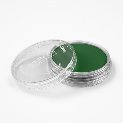 PanPastel Ultra Soft Artist Pastel 9Ml-Permanent Green Shade