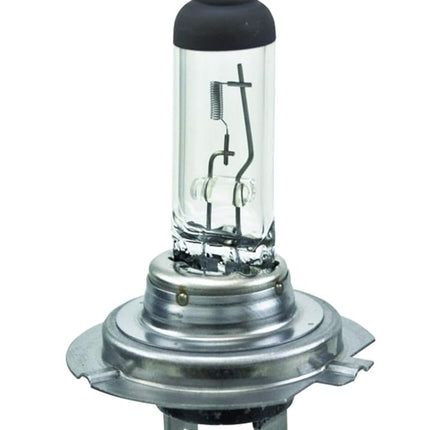 HELLA H7P50 +50 Performance Bulb, 12V, 55W