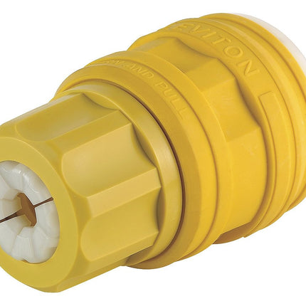 Leviton 20 Amp, 347 Volt, NEMA L-24-20, 2P, 3W, Pl